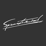 DSYCAR Car Sticker Sports Mind Body Headlight Personalized Light Eyebrow Decals | Auto D detail view