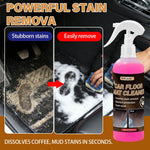 Car Floor Mat Cleaner | RV Carpet & Fabric Decontamination detail view