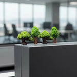 Green Fortune Wishing Tree Lucky Decor 2/3/4Pcs Natural Fresh Odorless Large Ornament fo detail view
