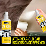 Professional Car Interior Spray , Gentle And Neutral Care Seat And Ceiling Covering, Four Seasons Ge