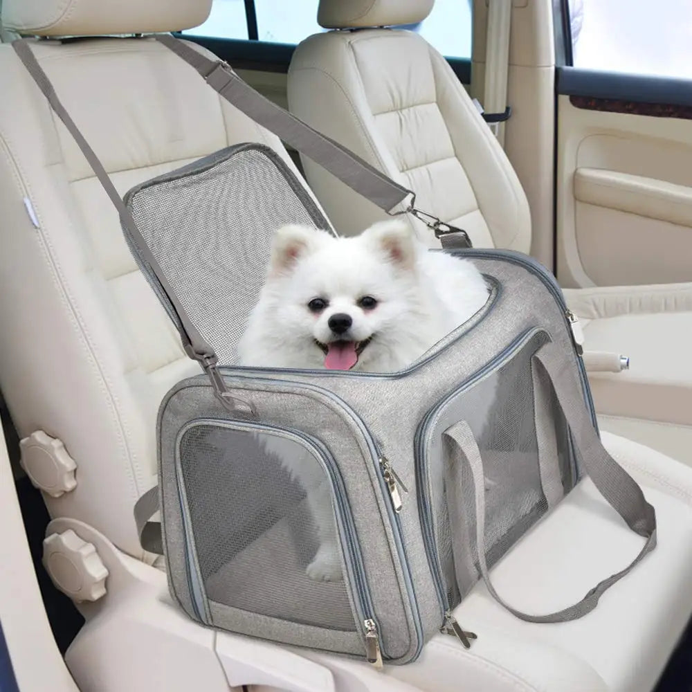 Soft Side Pet Carrier Backpack | Airline Approved Travel Bag for Small Dogs and Cats lifestyle view
