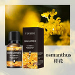 Aromatherapy 10ml Essential Oils for Humidifier Aromatic Oil Fragrance Oil Water-soluble Lavender Rose Lemon Mint