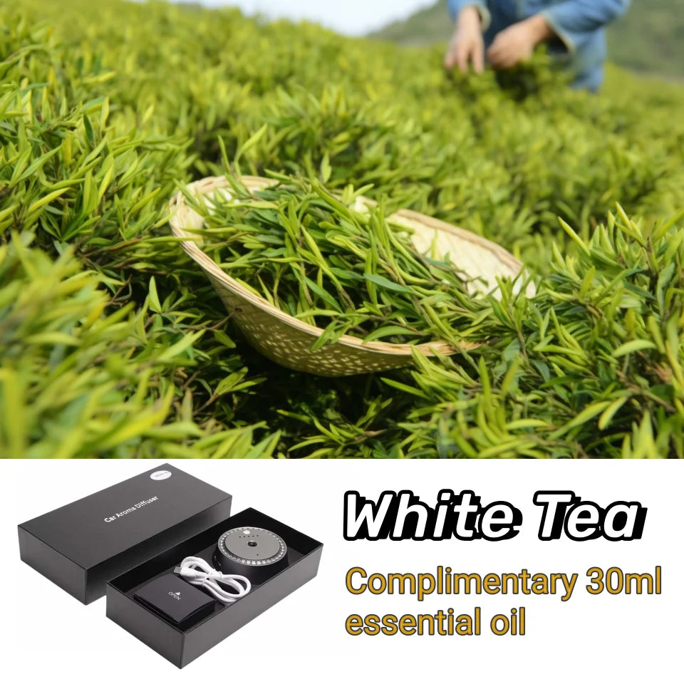 Car Mounted Intelligent Spray Car Air Freshener | Long-Lasting Alloy Car Fragrance close-up view