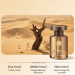 Aromatherapy 120ml Car Perfume Long-Lasting Refreshing Scent Car Air Freshener Essential Oil Office