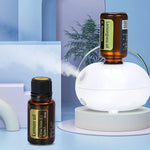 Mini Pure Oil Fragrance Diffuser | Portable Aromatherapy Machine with Automatic Inductio detail view