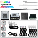 RGBIC Symphony LED Car Ambient Light Strip Accessories Replacement Parts for Main Controller Interio