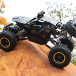 1:12 / 1:16 4WD RC Car With Led Lights 2.4G Radio Remote Control Cars Buggy Off-Road lifestyle view