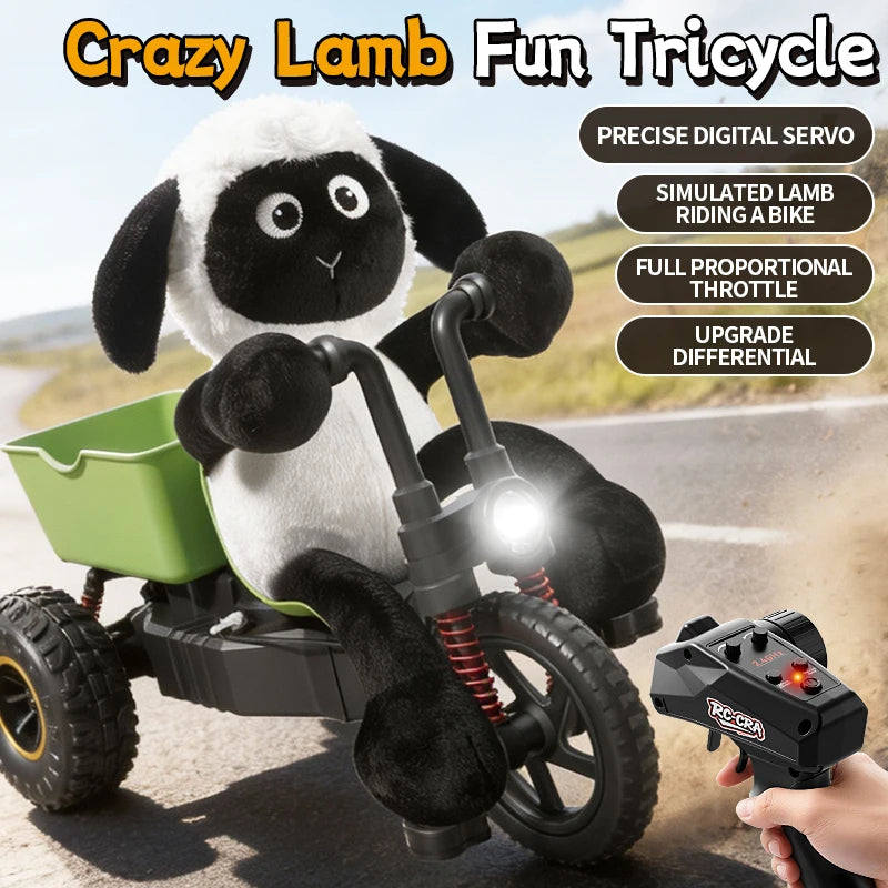 Remote Control Drift Stunt Car Toy for Boys