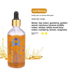 Car Perfume Refill Liquid | Premium Car Aromatherapy Cologne detail view