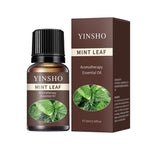 13 Flavors Essential Oils Set for Diffuser | 10ml Aroma Kit for Home alternate view