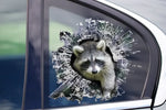 STICKER, Raccoon window sticker, car sticker, raccoon car decal, funny sticker