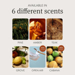 Wooden Car Air Freshener | 6 Scents Auto Scent Diffuser - Long-Lasting Amber Odor R additional angle