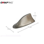 Car Radio Shark Fin