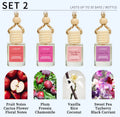 4 Pack Hanging Car Air Freshener & Diffuser | 120-Day Long-Lasting Fragrance Variety alternate view