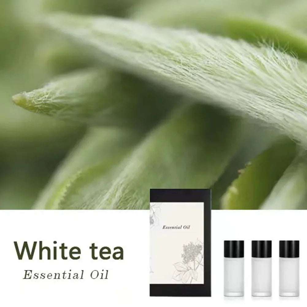 3 Pcs 10ml Aromatherapy Oil | Long Lasting Natural Fragrance Oil Car Perfume Refill alternate view