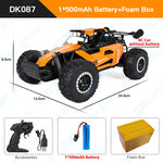 ZWN 1:16/1:20 2.4G Model RC Car With LED Light 2WD Off-road Remote Control Climbing V lifestyle view