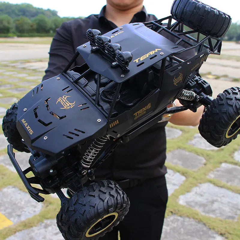 1:12 / 1:16 4WD RC Car With Led Lights 2.4G Radio Remote Control Cars Buggy Off-Road lifestyle view