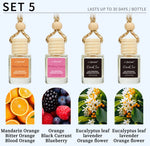 4 Pack Hanging Car Air Freshener & Diffuser | 120-Day Long-Lasting Fragrance Variet additional angle