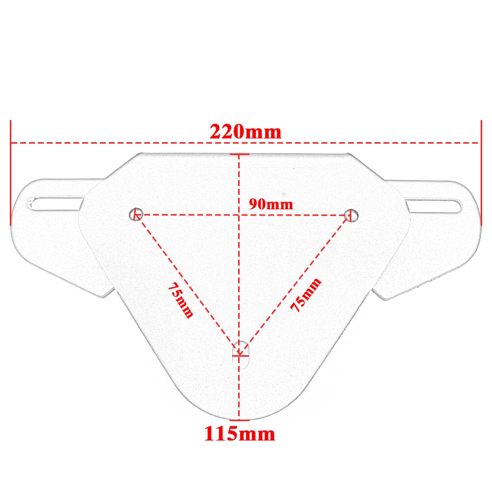 BMW G310R / G310GS License Plate Holder | Tail Tidy Fender Eliminator additional angle
