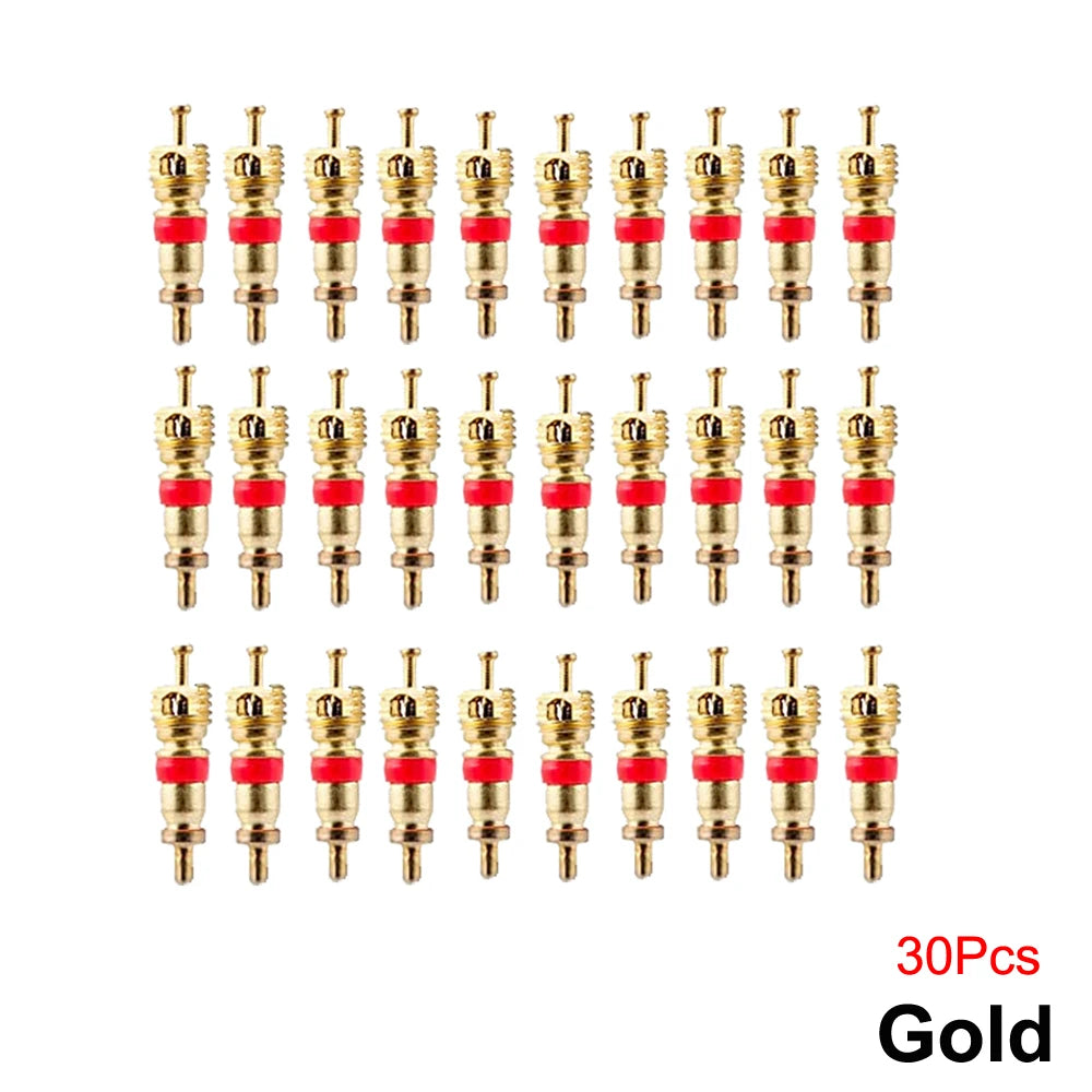 Schrader Tire Valve Core | Universal Replacement Stems for Automotive, RV, ATV, and A lifestyle view