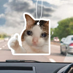 1pc Funny Cat Design Car Aromatherapy Tablet Car Fragrance Tablet Car Rearview Mirror Decoration Pen