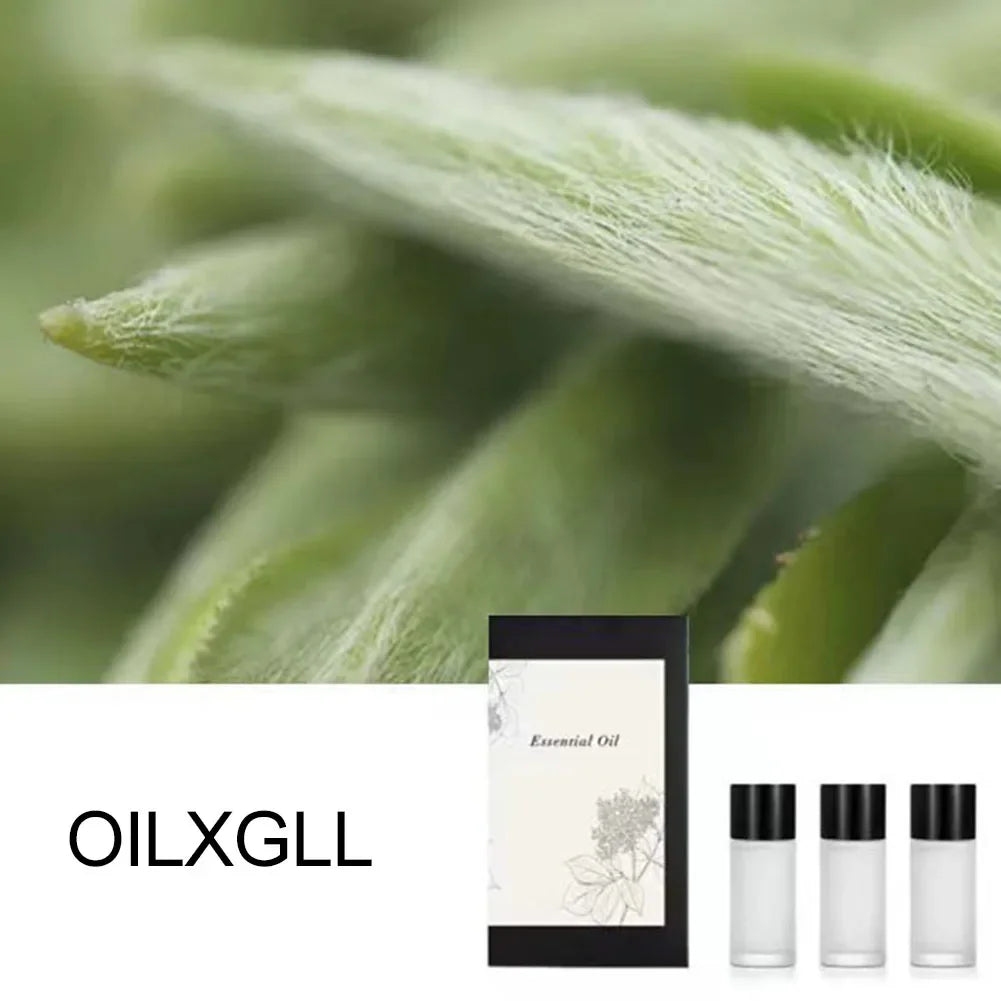 3 Pcs 10ml Aromatherapy Oil | Long Lasting Natural Fragrance Oil Car Perfume Refill lifestyle view