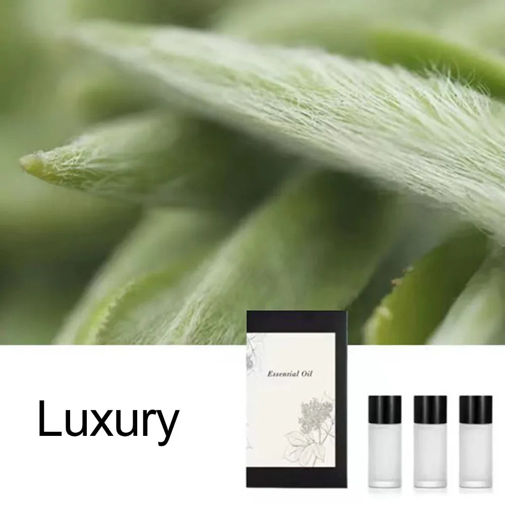 3 Pcs 10ml Aromatherapy Oil | Long Lasting Natural Fragrance Oil Car Perfume Refill close-up view
