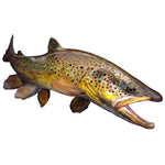 Car Stickers Wild Brown Trout Caravan Accessories Personality, Sticker Products Exterior Parts PVC Stylish, Decoration Cute,