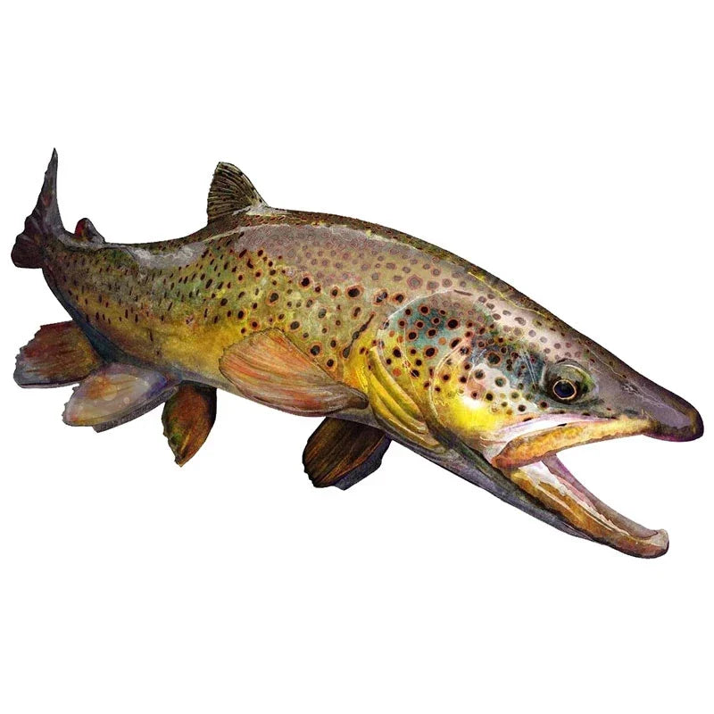 Car Stickers Wild Brown Trout Caravan Accessories Personality, Sticker Products Exterior Parts PVC Stylish, Decoration Cute,