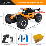 ZWN 1:16/1:20 2.4G Model RC Car With LED Light 2WD Off-road Remote Control Climbing V lifestyle view