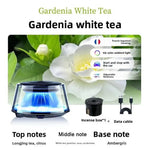 Snow Mountain Smart Car Fragrance Diffuser Rechargeable Mist Diffuser Auto Freshener Car Air Cloud RGB Interior Light Air W J5V6