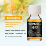 Car Aromatherapy Fragrance Pendent Bottle Perfume Diffuser Long-lasting Fragrance Air close-up view